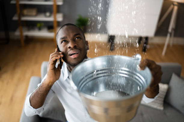 Best Water damage contractors near me  in Yorkvle, IL