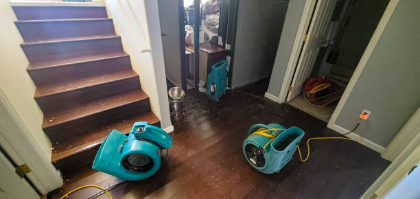 Water damage restoration process