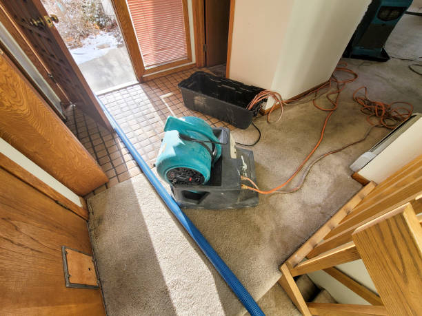 Best Water damage cleanup near me  in Yorkvle, IL