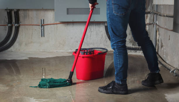 Water damage restoration experts in IL