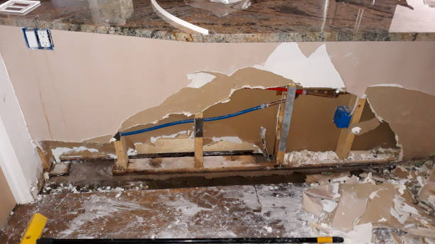 Best Carpet water damage restoration  in Yorkvle, IL