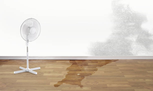 Best Flooded house restoration  in Yorkvle, IL