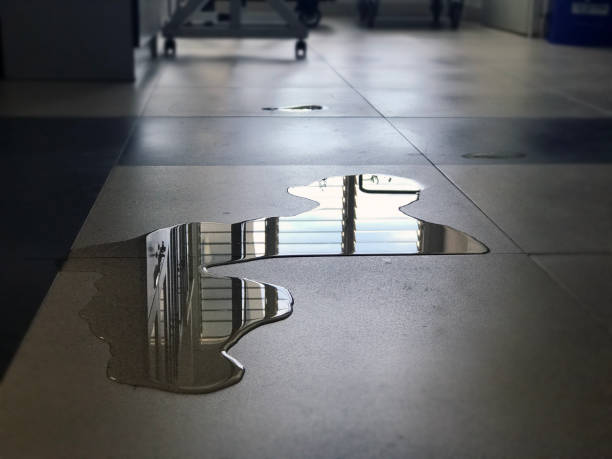 Best 24/7 water damage repair  in Yorkvle, IL