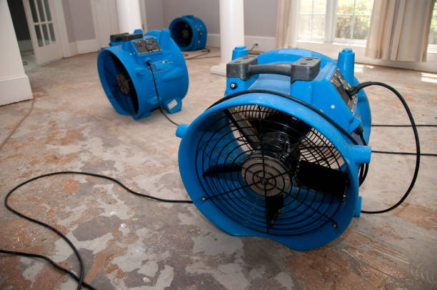 Best Water damage restoration near me  in Yorkvle, IL