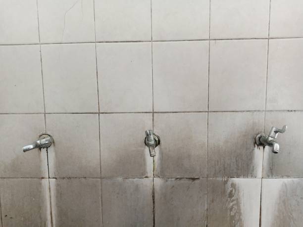 Best Flood restoration services  in Yorkvle, IL