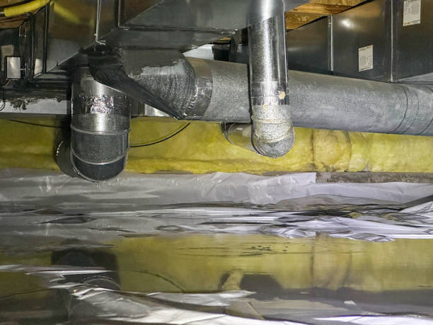 Best Flooded house restoration  in Yorkvle, IL