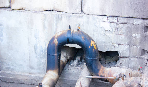 Best Mold removal after water damage  in Yorkvle, IL