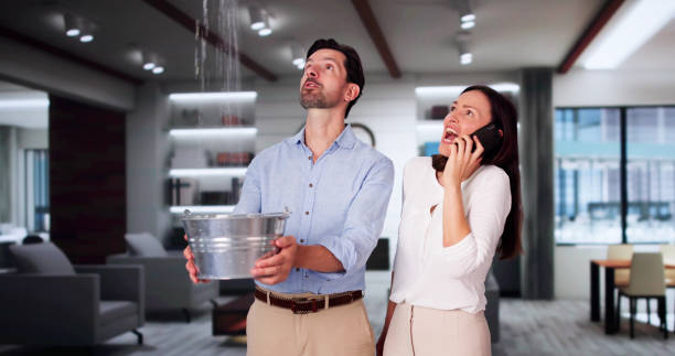 Best Fire Damage Restoration  in Yorkvle, IL